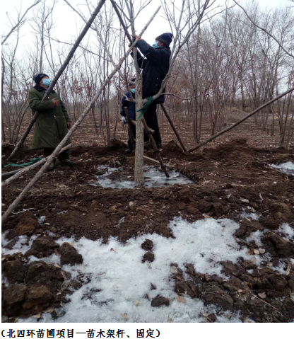 suncitygroup太阳集团·(中国)首页登录